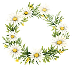 Watercolor circle frame of Chamomile Daisy flower clipart element for wedding birthday holiday decoration design