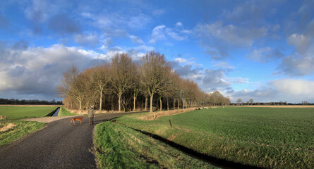 Fototapeta na wymiar Turfveenweg at Uffelte Drenthe Netherlands. Road. 