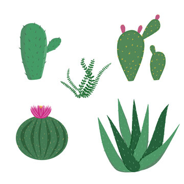 Doodle cactus plant set decorative houseplants illustration with green pink yellow color that can be used for interior decoration,  social media, sticker, wallpaper, card, green house, e.t.c.