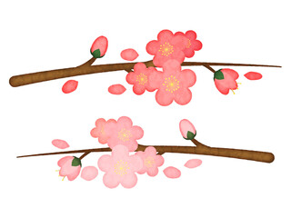 ピンク色の桃の花の水彩画風