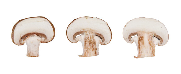 Three slices of brown mushrooms in a row isolated on a cut out PNG transparent background