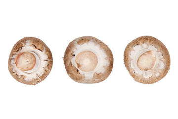 Three brown mushrooms in a row isolated on a cutout PNG transparent background