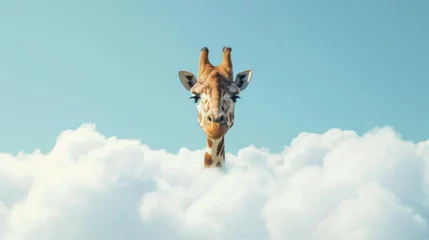 Fototapeten Whimsical Giraffe Peeking Through Clouds © romanets_v