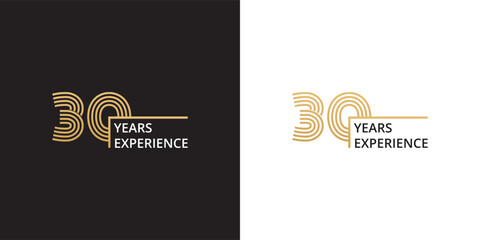 30 years experience banner