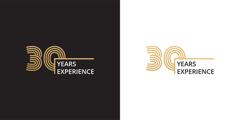 30 years experience banner - obrazy, fototapety, plakaty