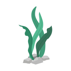 Green algae, sea grass, underwater seaweed plant isolated on white background. Vector illustration - 730792594