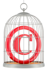 Copyright inside birdcage, 3D rendering isolated on transparent background