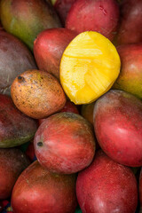 Mango fruits on Madeira Island, Portugal