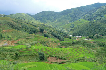 Fototapeta na wymiar beautiful green rice terraces on the mountain scenery landscape viewpoint in Sapa Village, Vietnam