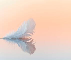 Serene Feather Reflection on Pastel Background