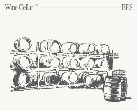 A wine cellar showcasing stacked barrels. Hand drawn vector illustration, sketch.