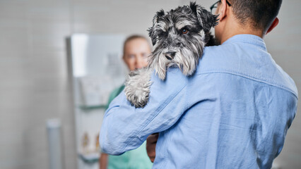 Domestic sick dog on his owner's hands at the vet