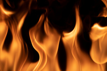 Fire flames on a black background