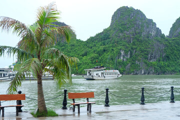 wooden brown chair placed next to the coconut tree on the shore of an island in Ha Long Bay harbor at Vietnam Country