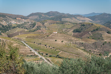 Fototapeta na wymiar Encantadora paisagem rural portuguesa: Entre montanhas, uma zona rural com algumas vinhas e uma estrada asfaltada a meio, e uma aldeia lá no alto em Portugal 