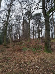 Wallace Monument, Stirling, Scotland