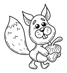 Coloring page cute squirrel with nut sketch. Animal cartoon. Hand drawn vector illustration.