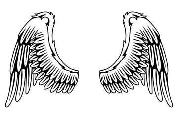 Wings sketch. Stylized birds wings. Hand drawn contoured stiker wing in open position.  design elements in coloring style