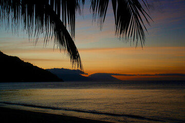 Beach of a tropical island during sunset. Silhouette of palm branches against the sky in the rays of the setting sun.