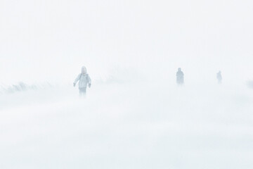A snowstorm in the city. People are walking down the street during a snowstorm. Strong wind and...