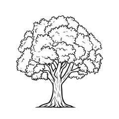 Tree with leaves silhouette on white background. Coloring book page vector