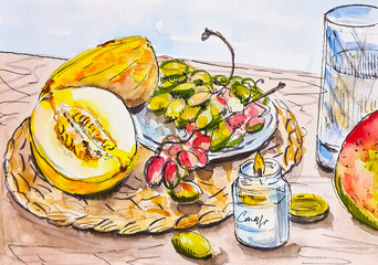 Hand drawn sketch fruits on the table at the kitchen grape, melon, mango watercolor illustration