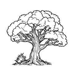 Tree with leaves silhouette on white background. Coloring book page vector