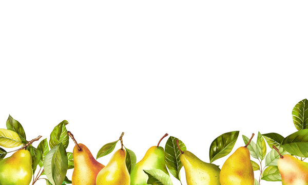 On the transparent background below are yellow pears with green leaves. Background for photos or advertising.