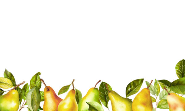 On the transparent background below are yellow pears with green leaves. Background for photos or advertising.