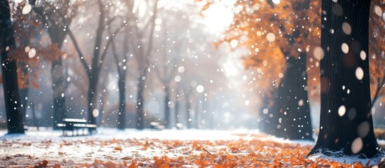 City park in autumn or winter with bokeh background blur, capturing the first snowfall.