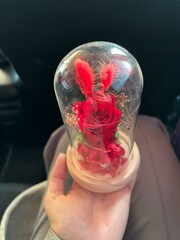 gift light