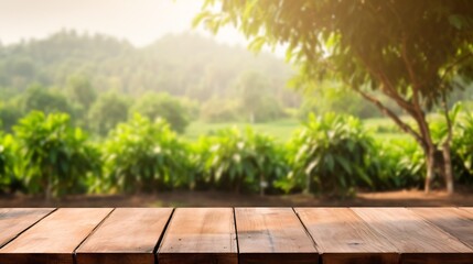 Rustic wooden display stand for showcasing natural products such as food and fragrances in a farm setting with a backdrop of lush greenery and early sunlight. - obrazy, fototapety, plakaty