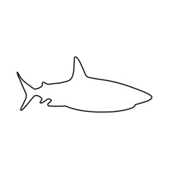 vector shark icon symbol