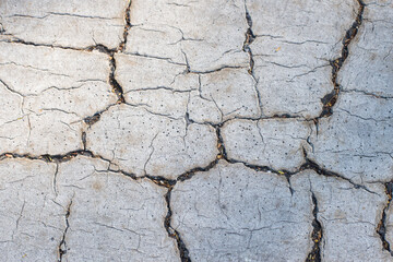 crack a line on the surface of something along which it has split without breaking into separate parts.