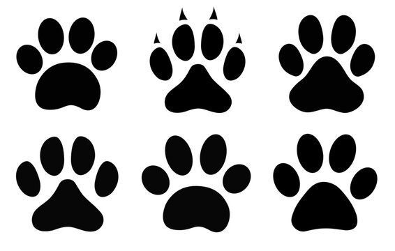 Paw print animals icons set vector design elements