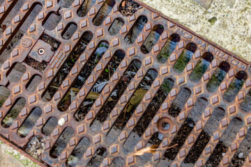 Street rain collector cover, bird feather, rusty metal texture, Seggiano city, Grosseto province, ...