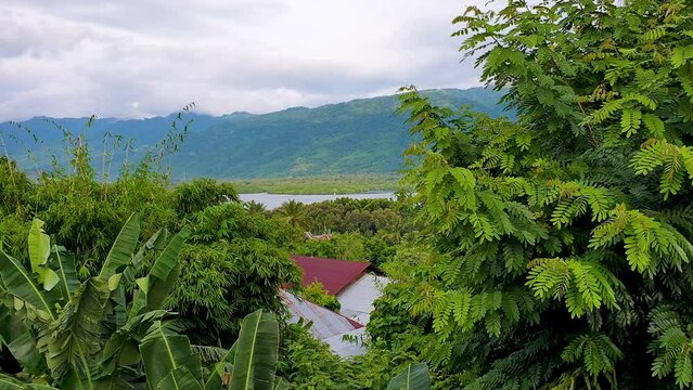 Scenic landscape view of Alor Island covered with dense green trees and mountainous terrain in Lesser Sunda Islands of East Nusa Tenggara, Indonesia