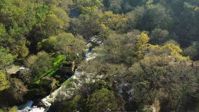 Drone shot of the Zas River (Rio de Zas) cascading on rocks through dense woods in A Coruna, Spain