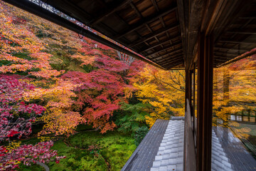 Autumn in Kyoto, Japan, beautiful Japanese garden in Buddhist temple during fall season. - 730860587