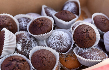 Chocolate cupcakes on a plate