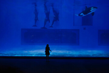 Woman marveling at a mesmerizing aquarium