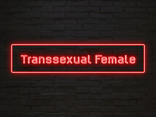 Transsexual Female のネオン文字