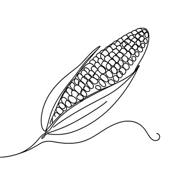 recommend clip art: Corn in a line drawing style