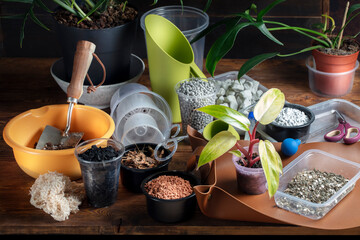 Different soil elements for repotting houseplants: charcoal, clay fragments, foam glass, vermiculite, coconut flakes, soil. Taking care of the health of potted plants. Concept of indoor gardening.