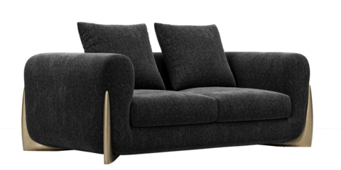 Modern and luxury black sofa with pillows and golden legs isolated on white background. Furniture Collection. 