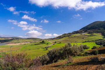 Naklejka premium Landscape of northern Tunisia - Sejnene region - Tunisia 