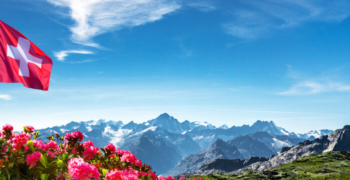 Schweizer Berge mit Schweizer Fahne und Alpenrosen