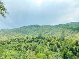Obraz premium Cloudy sky over dense green forest, mountains and hills