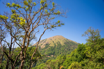 Charmady Ghat is a mountain pass in the Western Ghats range in the kadur to mangalore Road of Karnataka, India