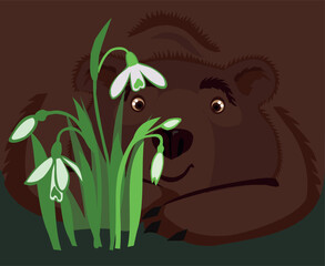 Bear looks tenderly at the snowdrops. Snowdrop Day. Vector greeting card with the beginning of spring.